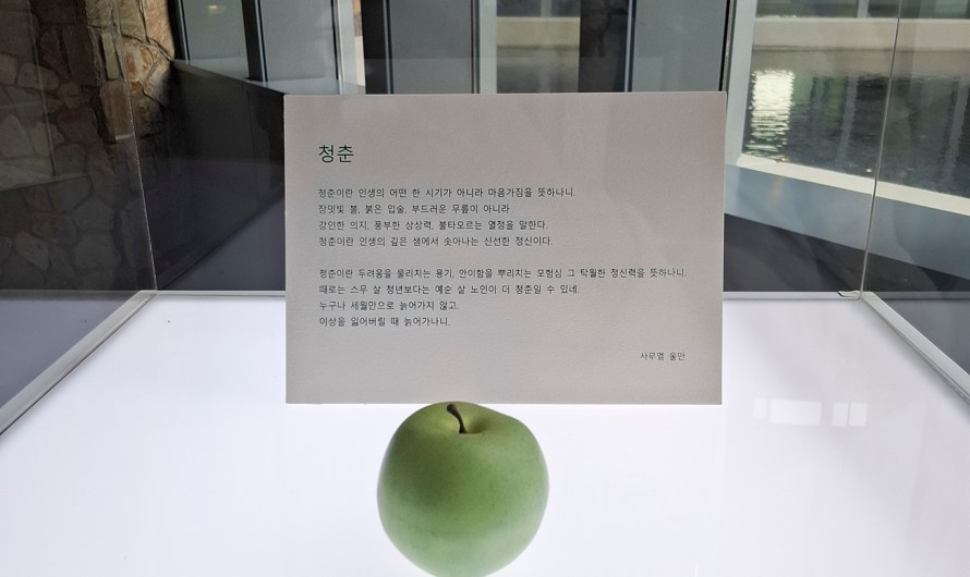 사무엘 울만과 안도 다다오가 말하는 청춘이란