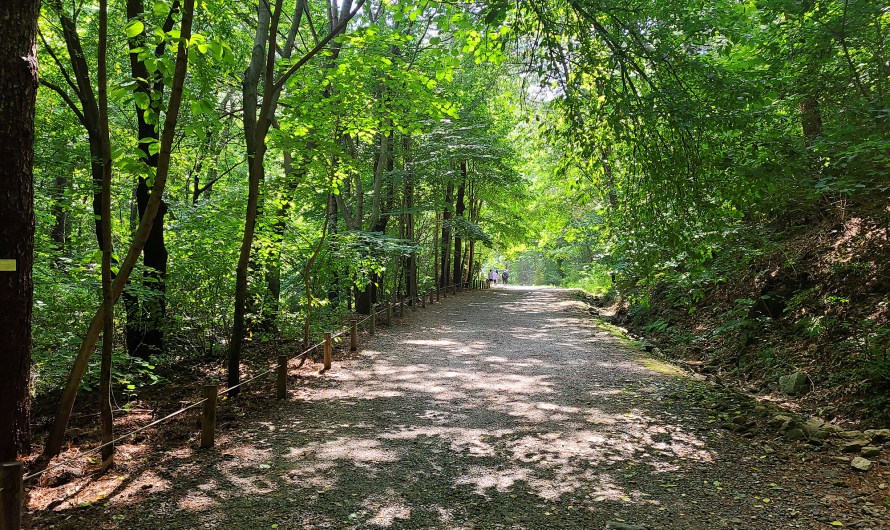 (여행후기:하이킹,카페/23년 7월 1일) 경기 포천 수목원 ‘국립수목원’ / 카페 ‘포공영커피’