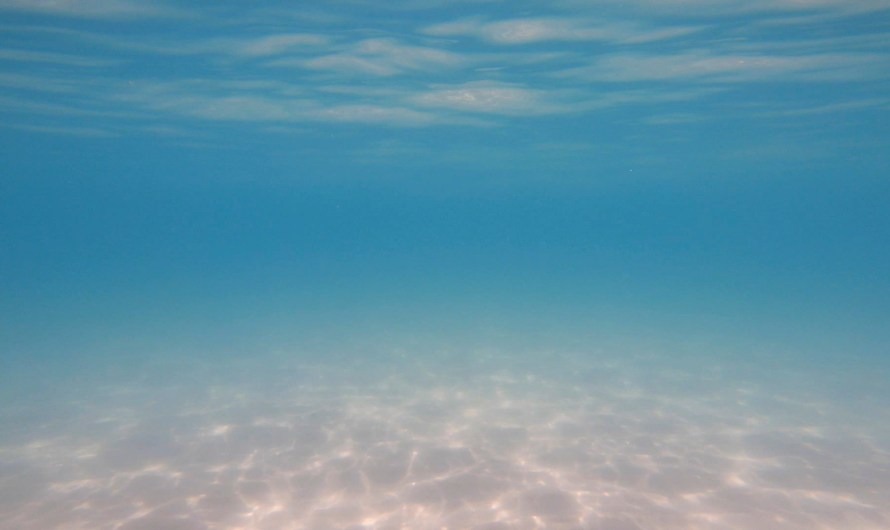 (여행후기:바다와 캠핑/23년 6월 17일) 강원도 양양 서핑해변 죽도 해변 (파도높이 : 호수 / 스노클링한 날)